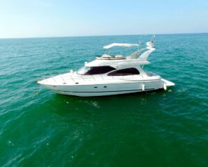 Cruiser 50
