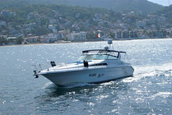 Sea Ray 42