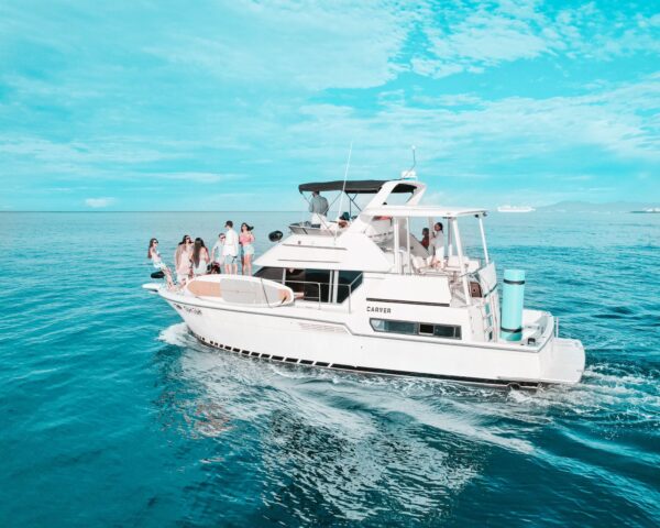 Carver 42
