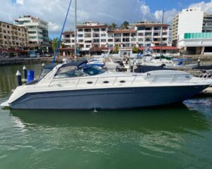 Sea Ray 55