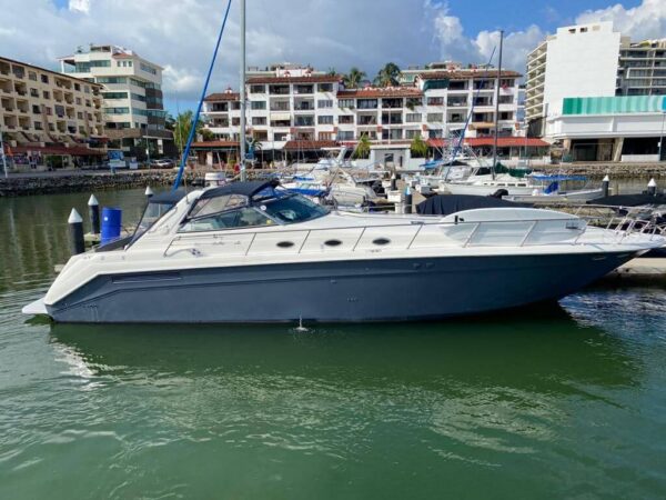 Sea Ray 55
