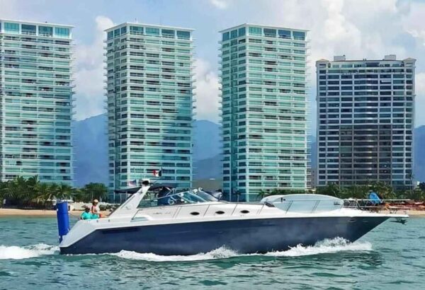 Sea Ray 55 - Image 2