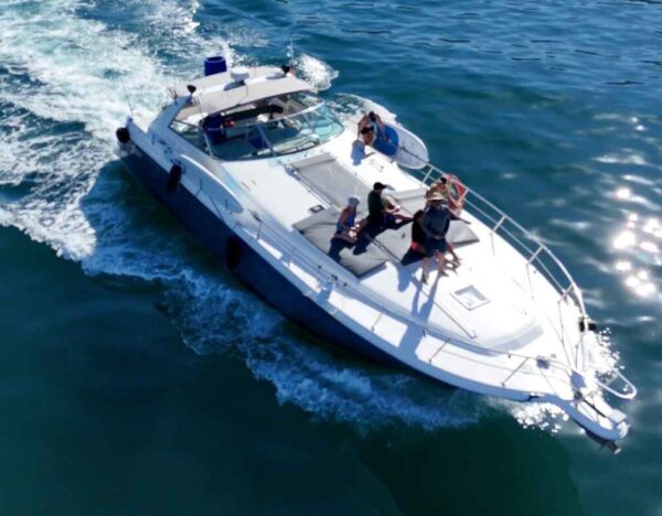 Sea Ray 55 - Image 4