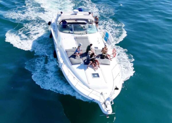 Sea Ray 55 - Image 6