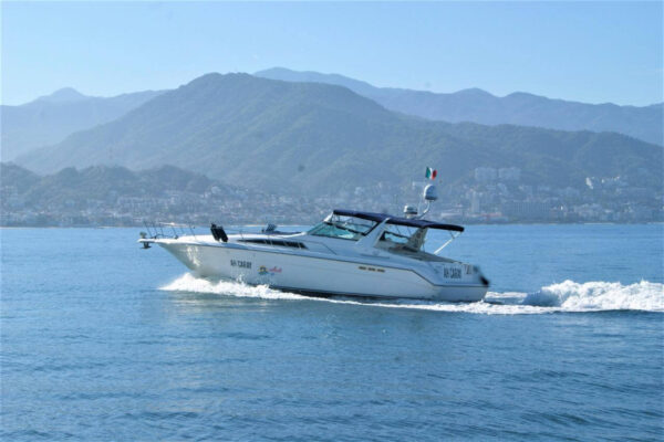 Sea Ray 42 - Image 3