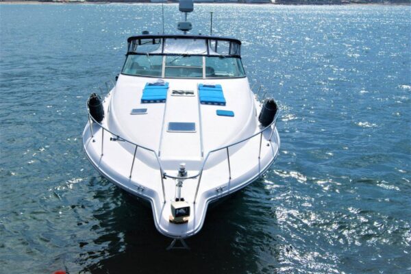Sea Ray 42 - Image 5