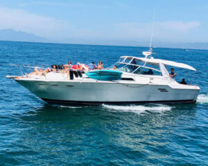 Sea Ray 46