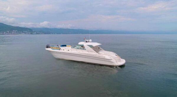 Sea Ray 60 - Image 2