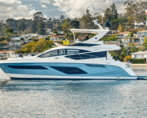 Sea Ray L55