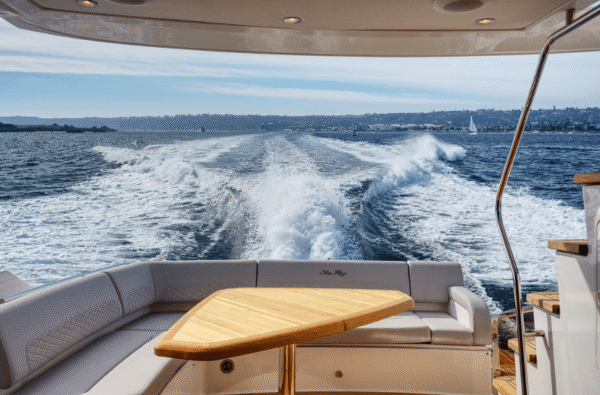 Sea Ray L55 - Image 4