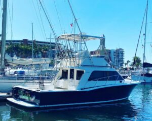 Cabo 35 II