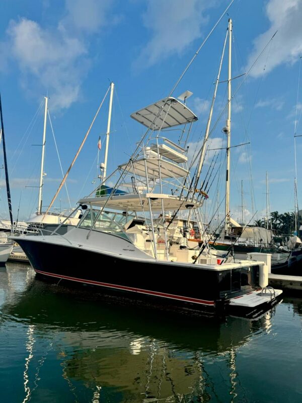 Luhrs 38 - Image 3