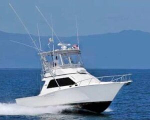 Cabo 35
