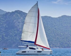 Leopard 44