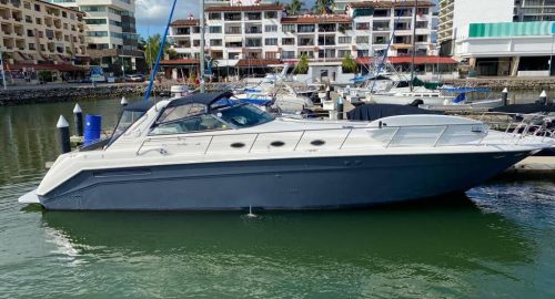 Sea Ray 55