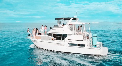 Carver 42