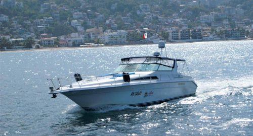Sea Ray 42