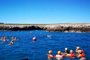 islas-marietas-snorkeling-(2)