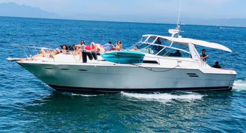 Sea Ray 46
